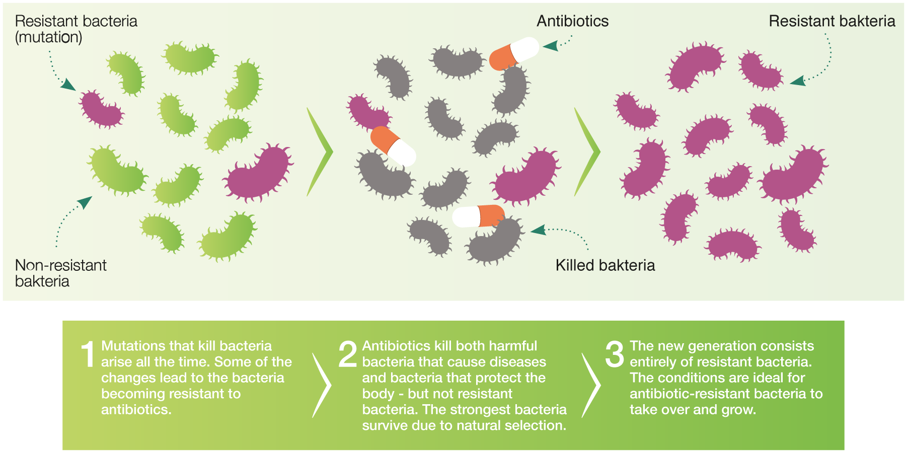 Antibiotic resistance (AMR)